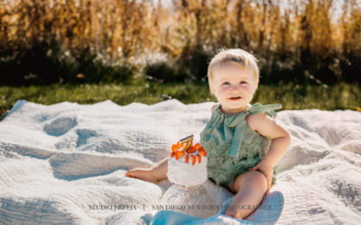 Outdoor Cake Smash & Fall Family Pictures