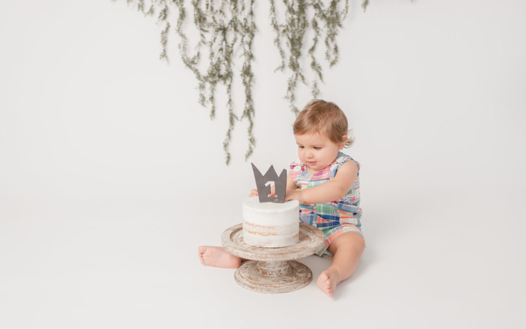Smash the Cake – San Diego One Year Pictures