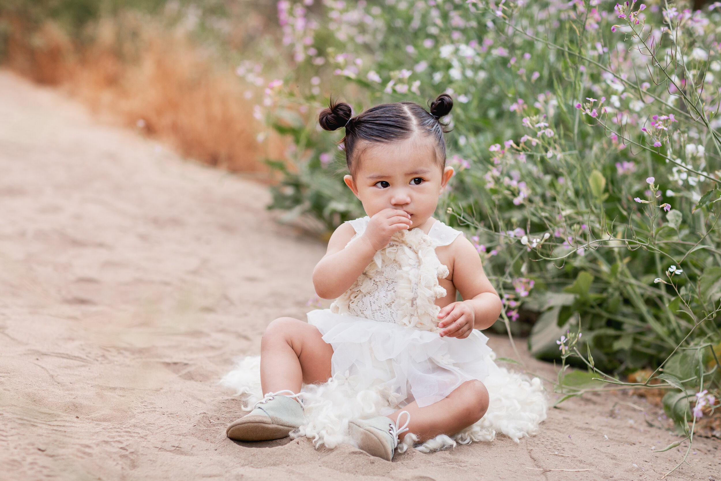  Studio Freyja, San Diego Family Photographer 