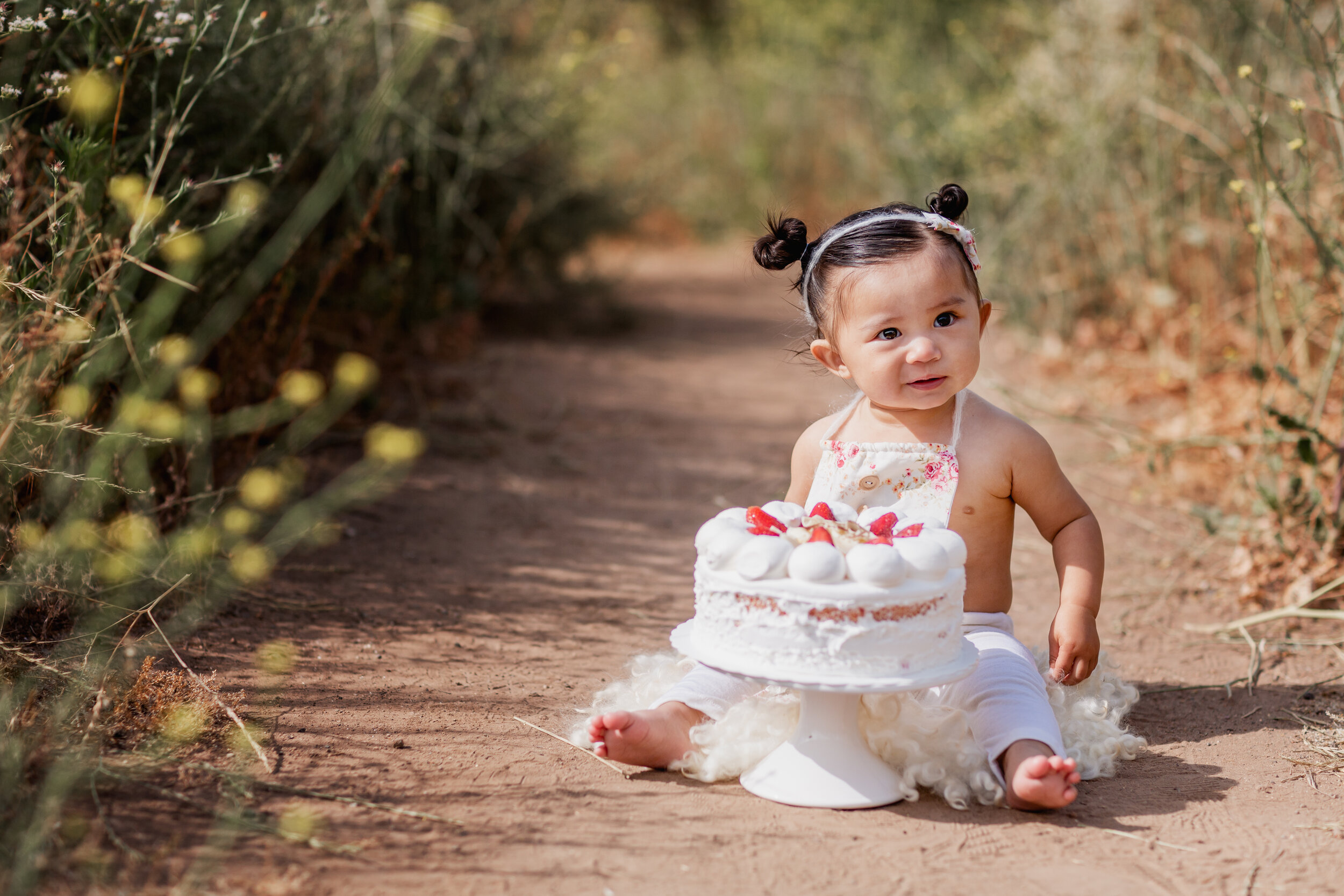  Studio Freyja, San Diego Family Photographer 