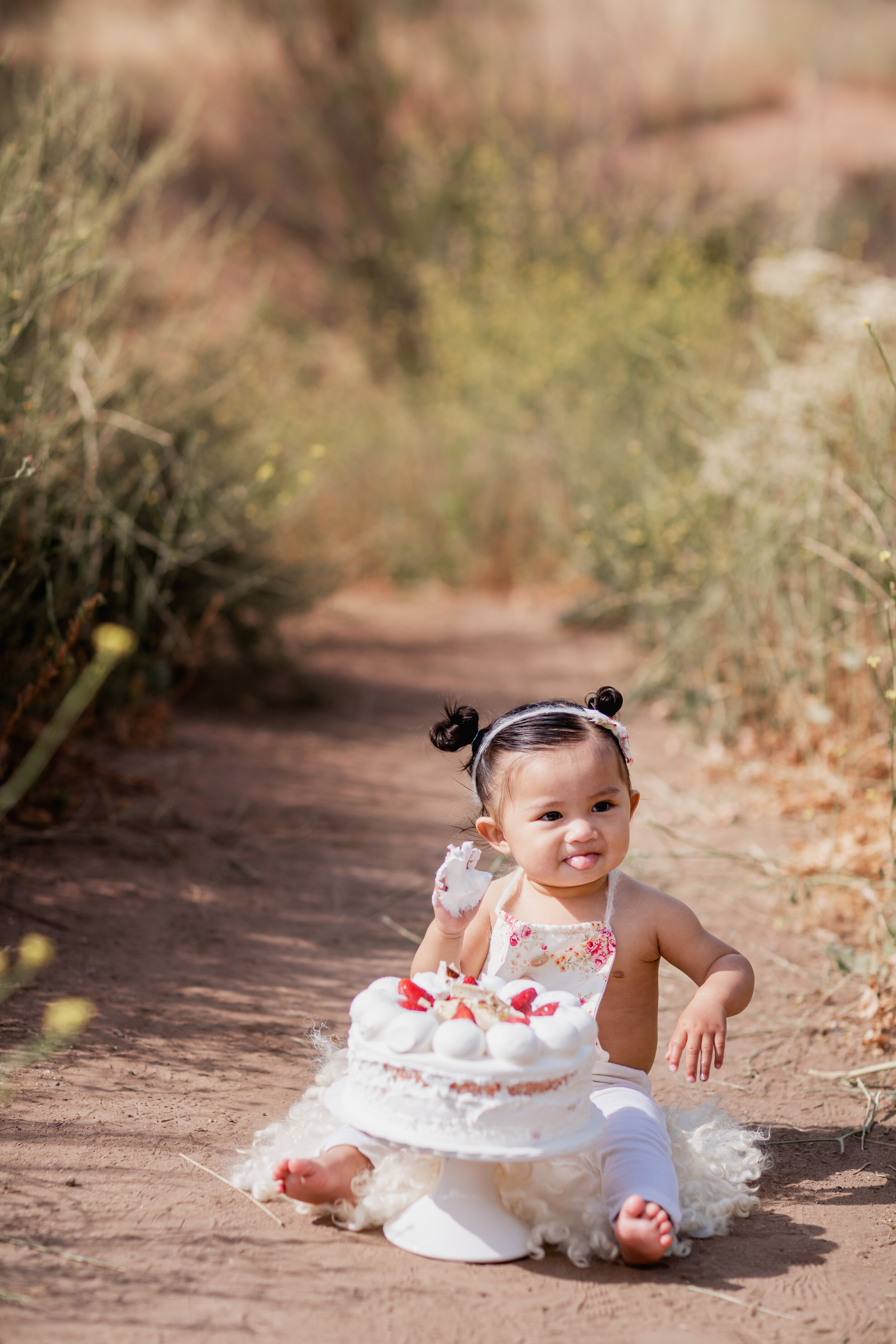  Studio Freyja, San Diego Family Photographer 