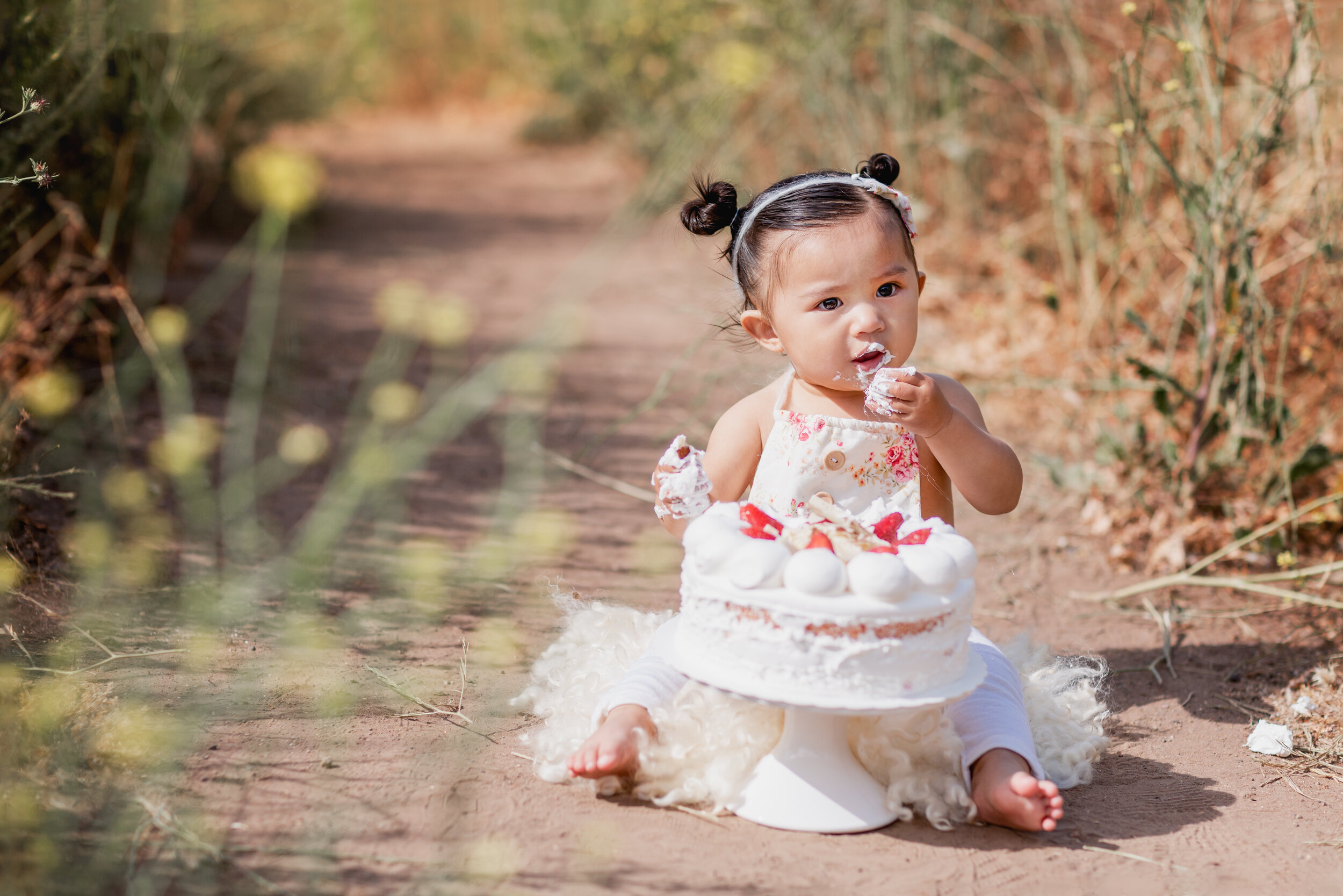  Studio Freyja, San Diego Family Photographer 