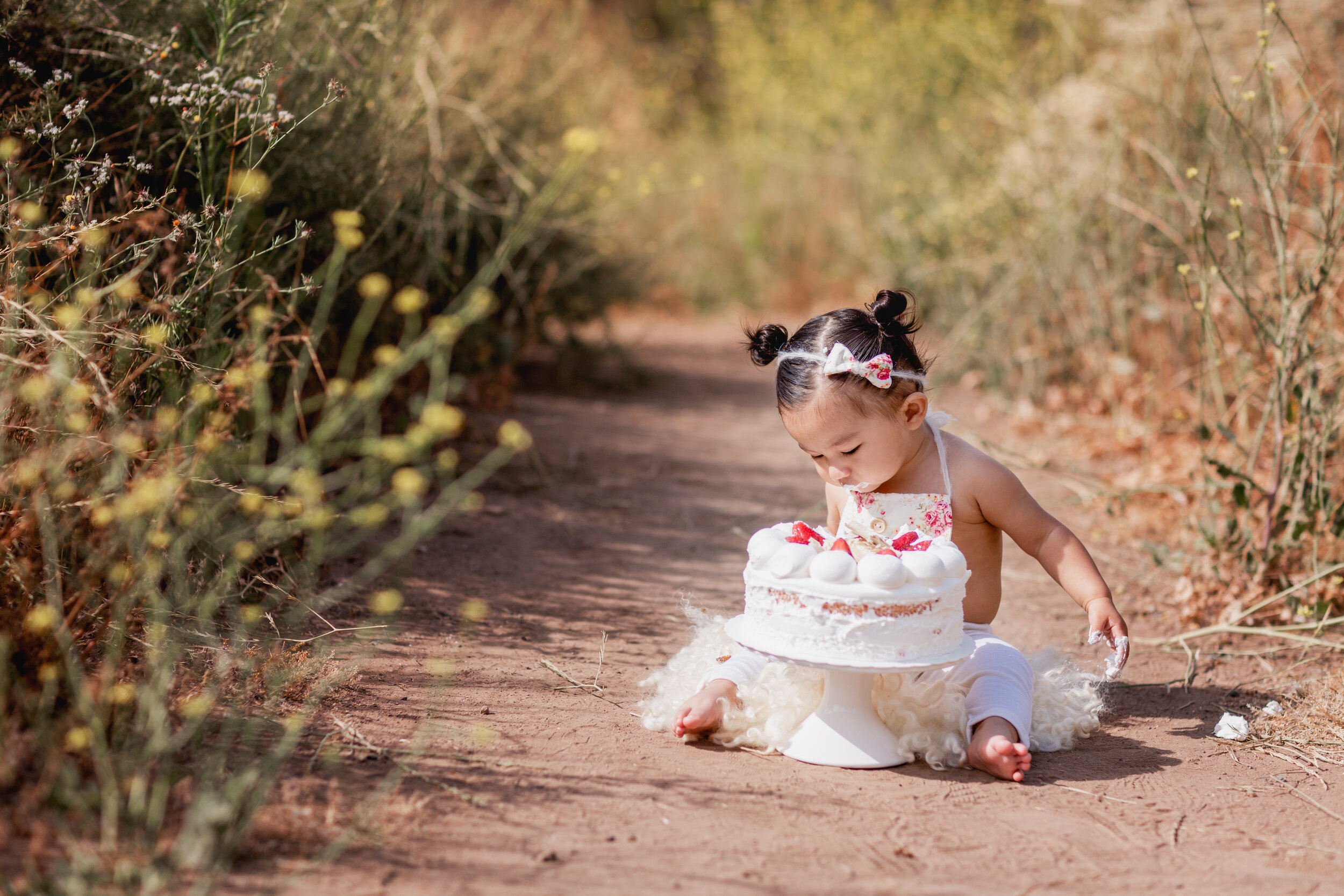  Studio Freyja, San Diego Family Photographer 