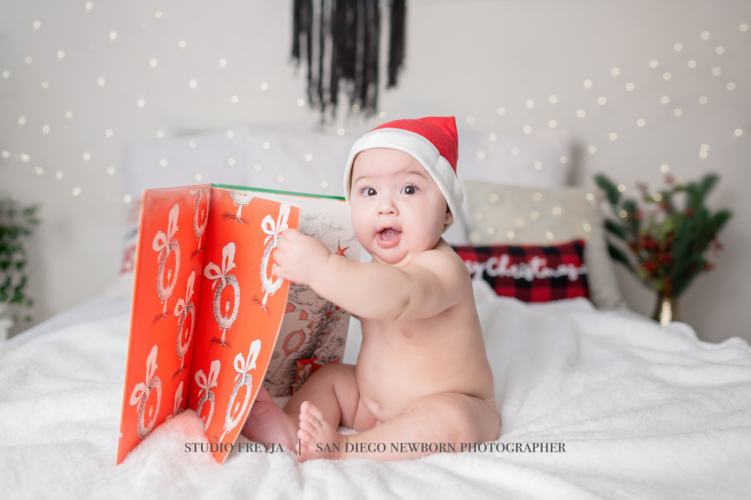  Studio Freyja, San Diego Family Photographer 