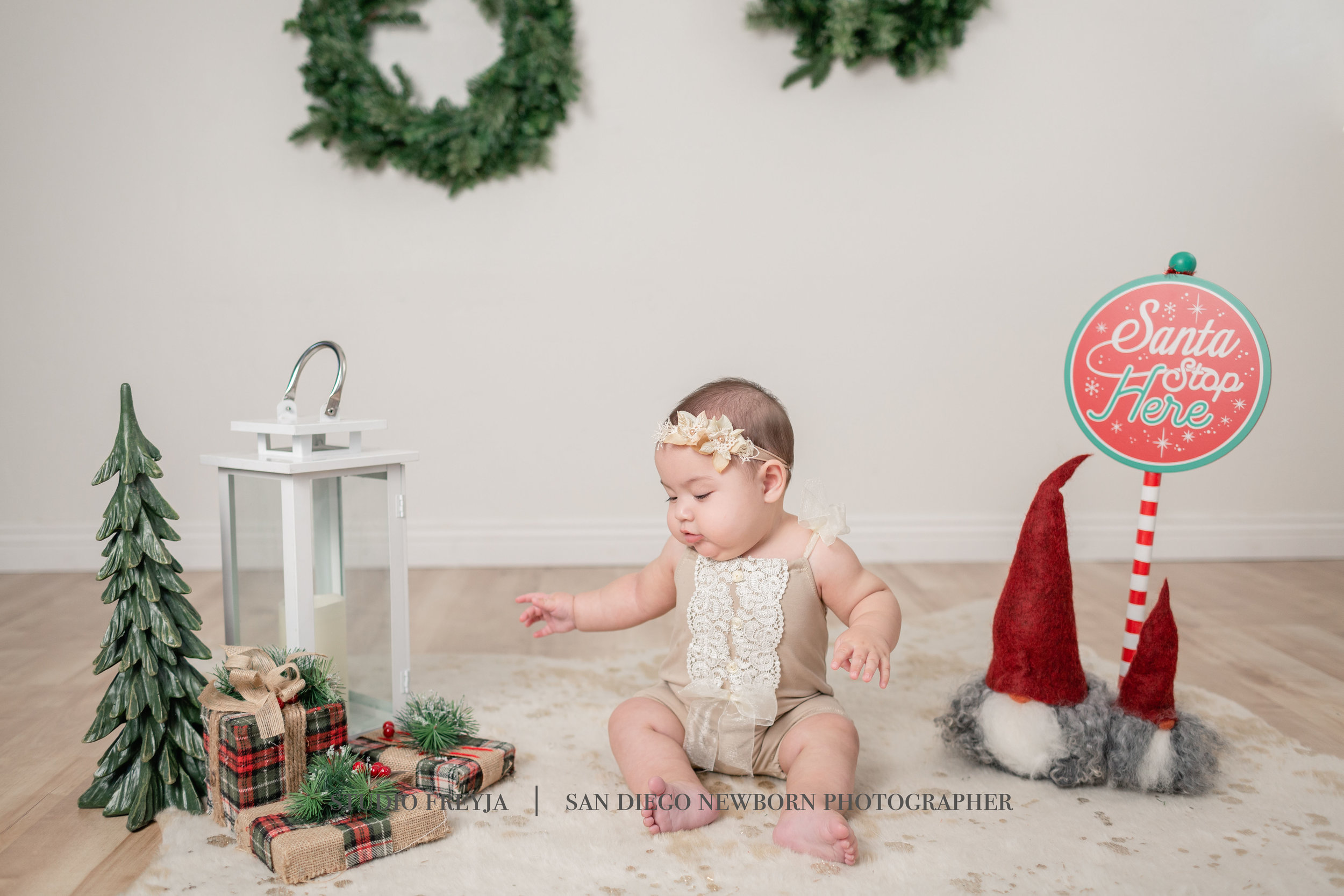  Studio Freyja, San Diego Family Photographer 