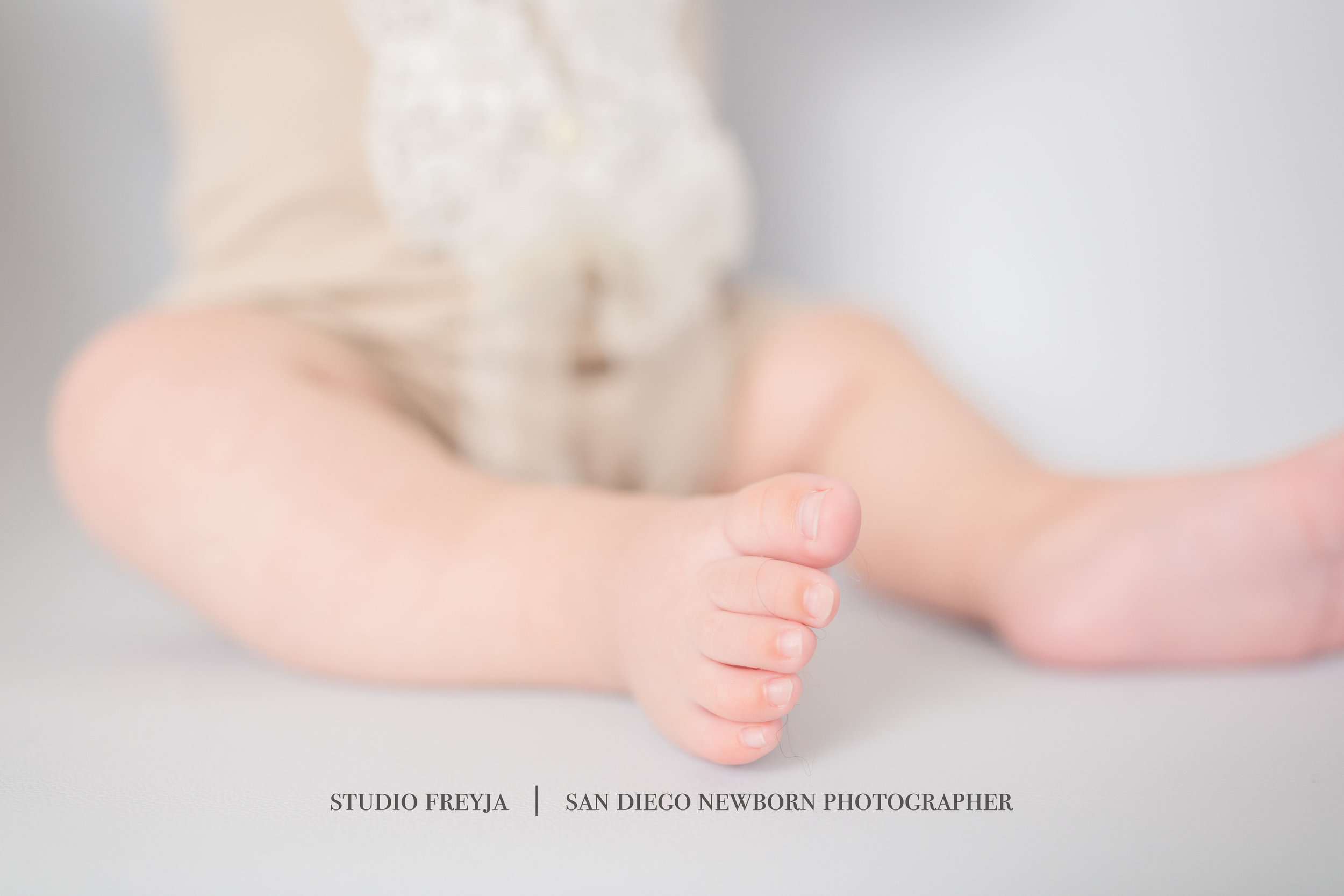  Studio Freyja, San Diego Family Photographer 