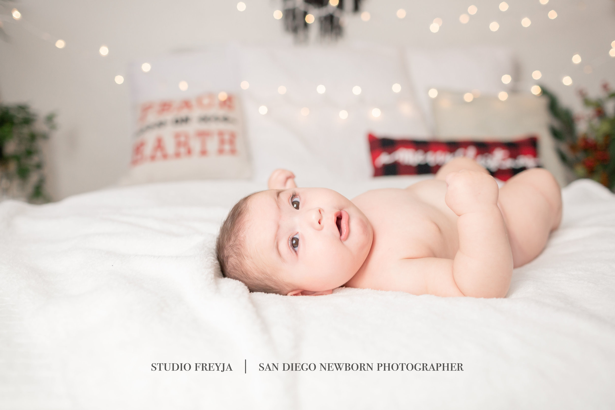  Studio Freyja, San Diego Family Photographer 