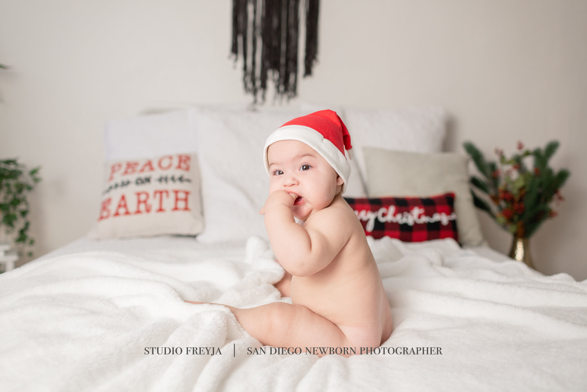  Studio Freyja, San Diego Family Photographer 