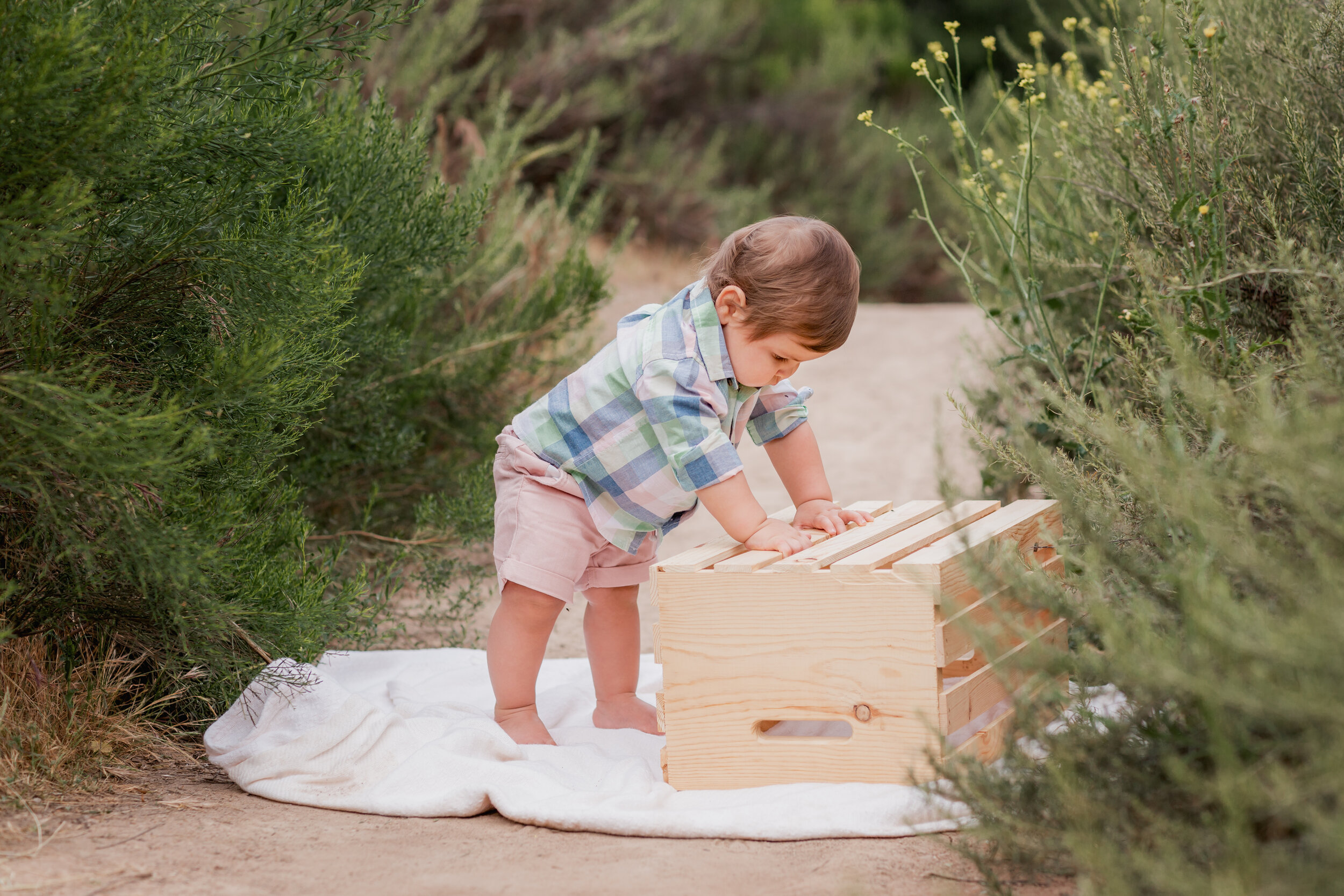  Studio Freyja, San Diego Family Photographer 