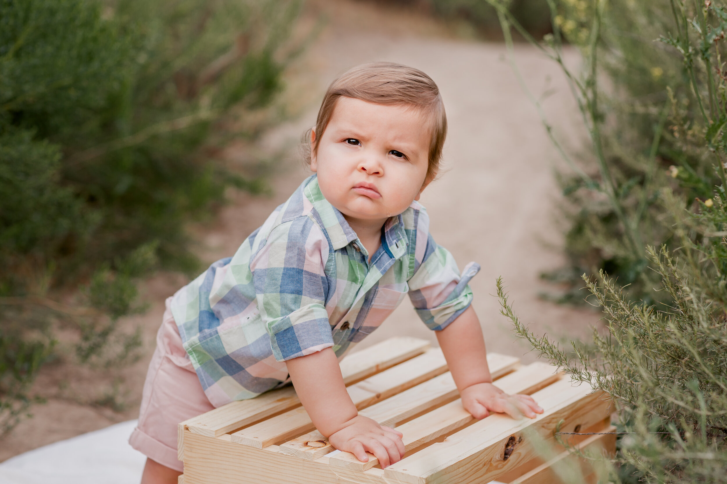  Studio Freyja, San Diego Family Photographer 