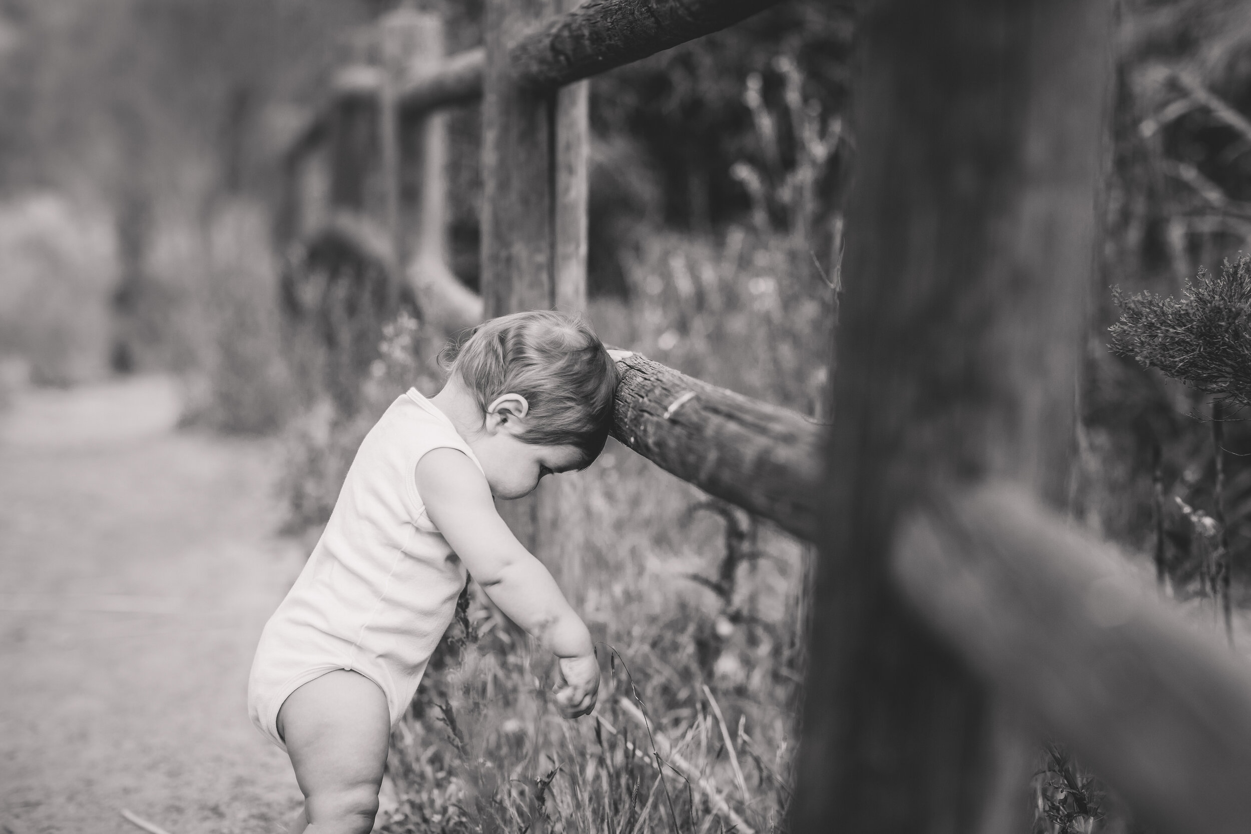  Studio Freyja, San Diego Family Photographer 