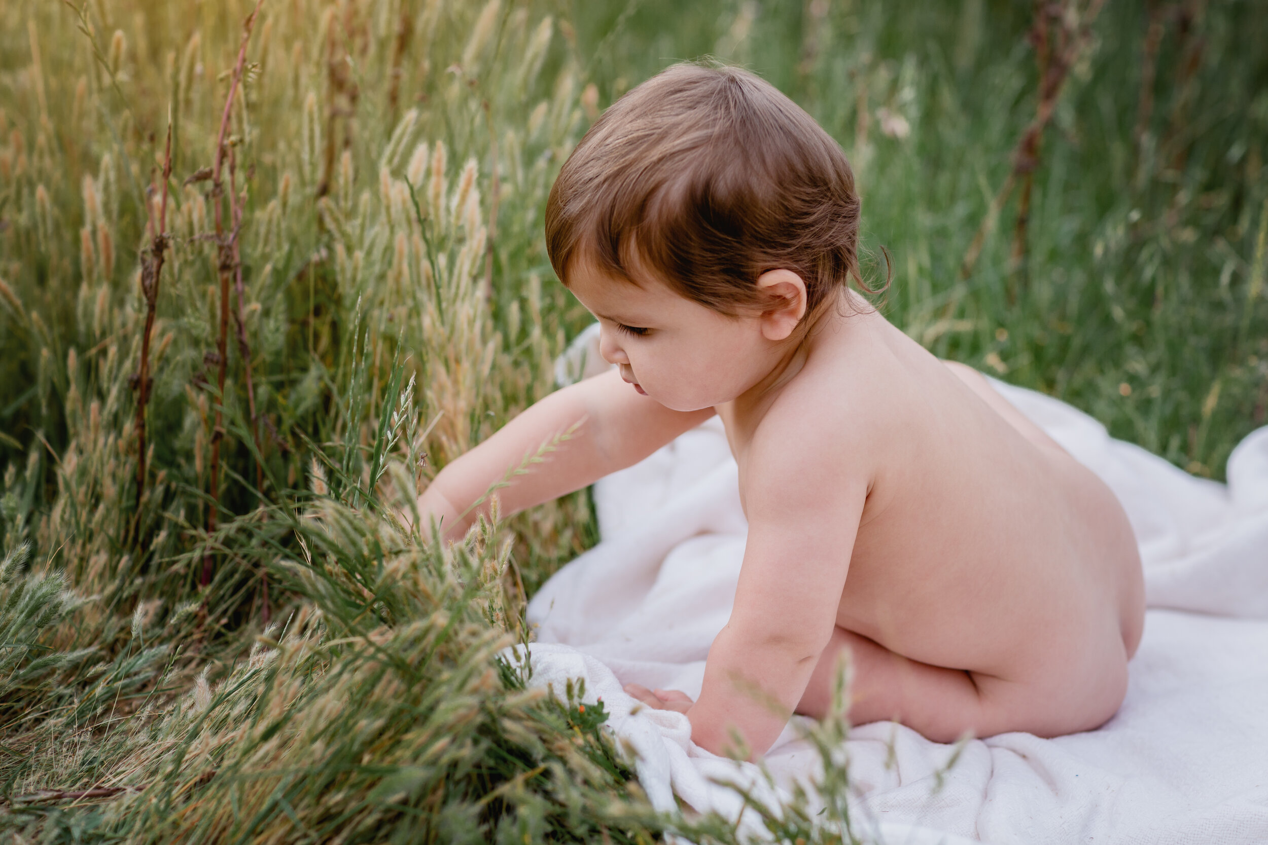  Studio Freyja, San Diego Family Photographer 