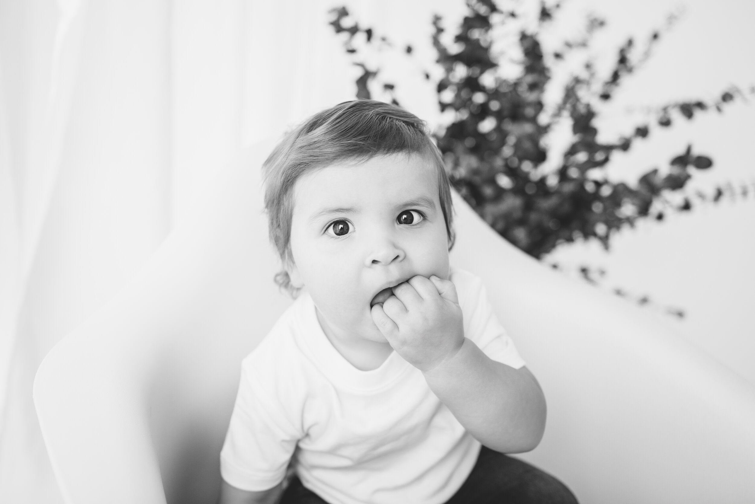  Studio Freyja, San Diego Family Photographer 