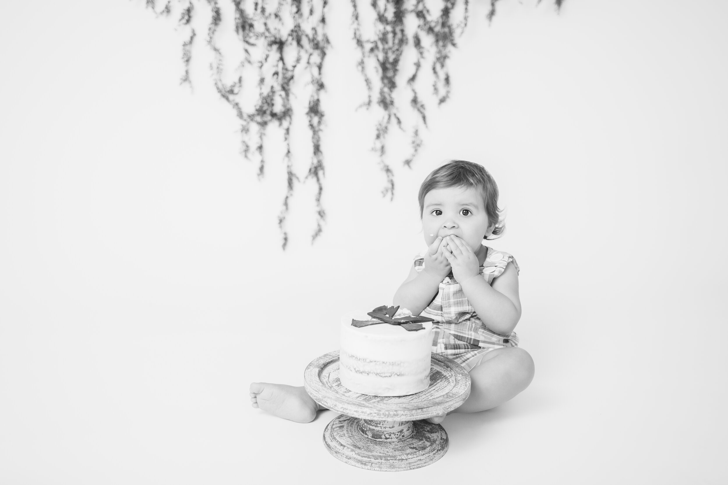  Studio Freyja, San Diego Family Photographer 