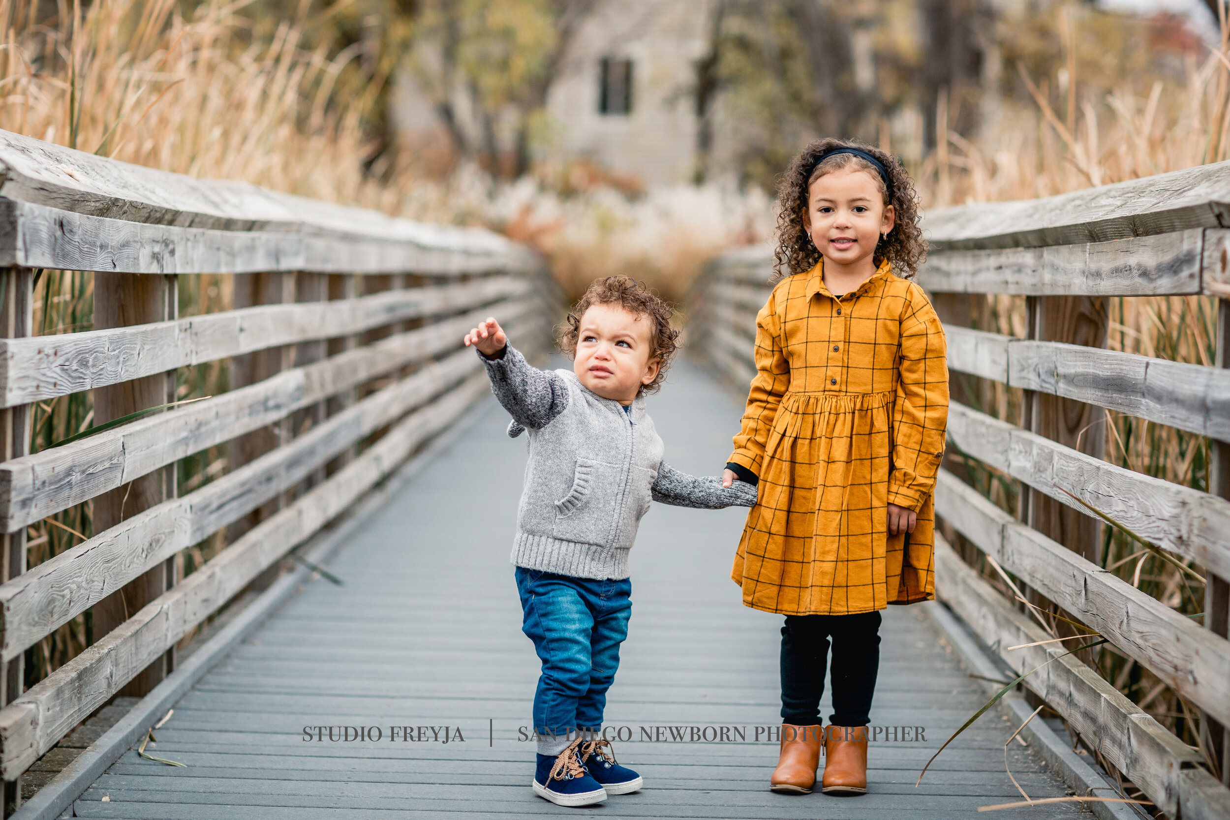  Family Portrait Photographer in San Diego 