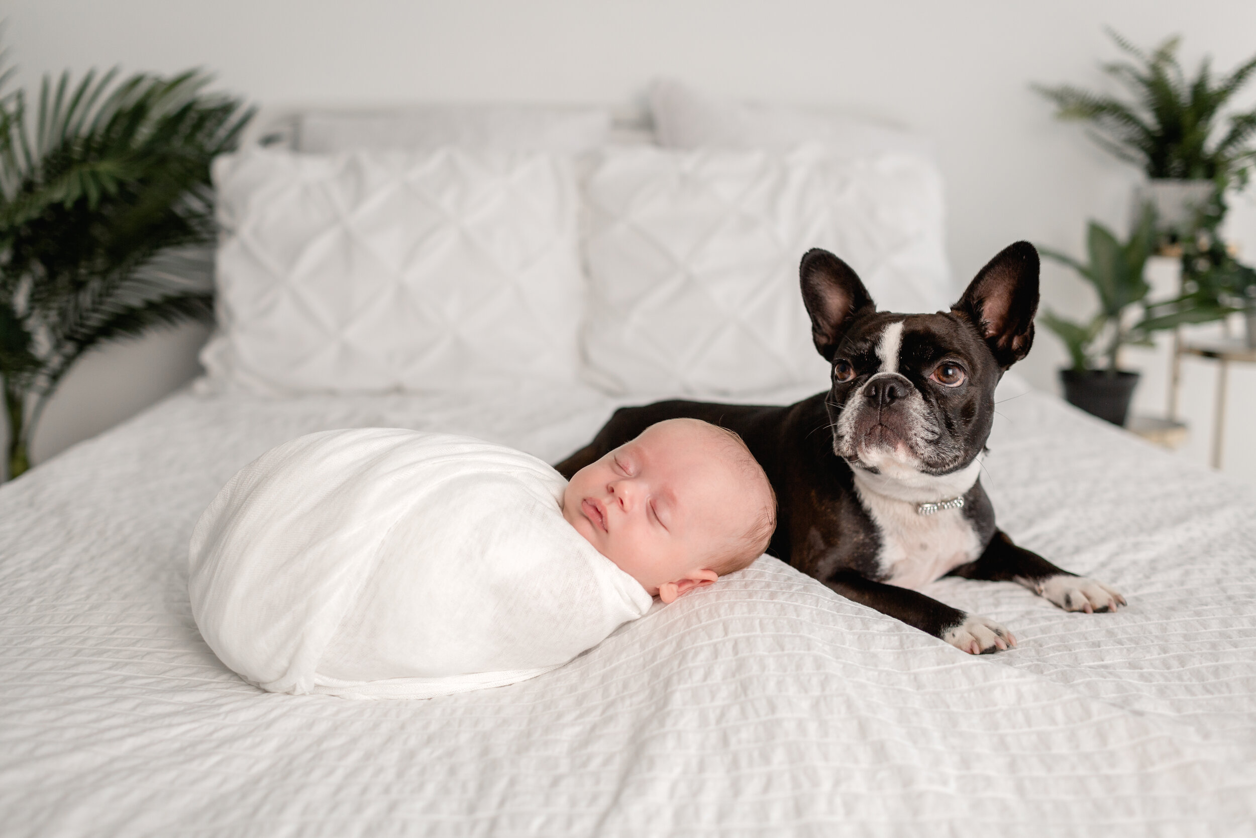  Studio Freyja, San Diego Newborn Photographer 