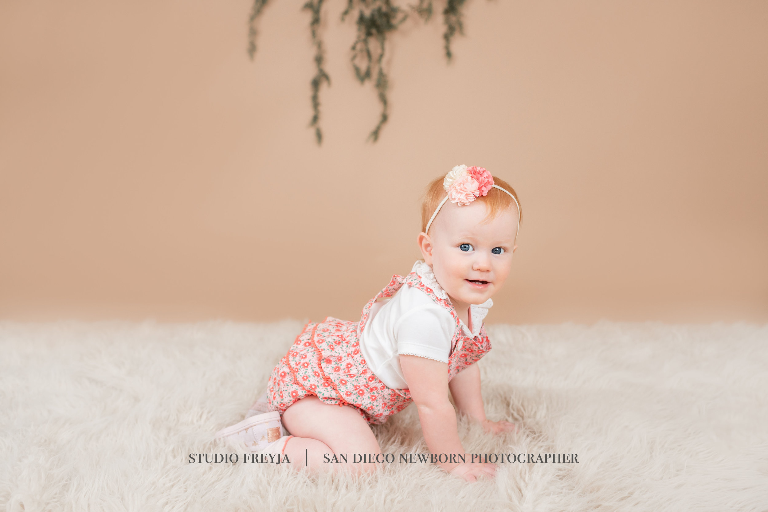  Studio Freyja, San Diego Family Photographer 