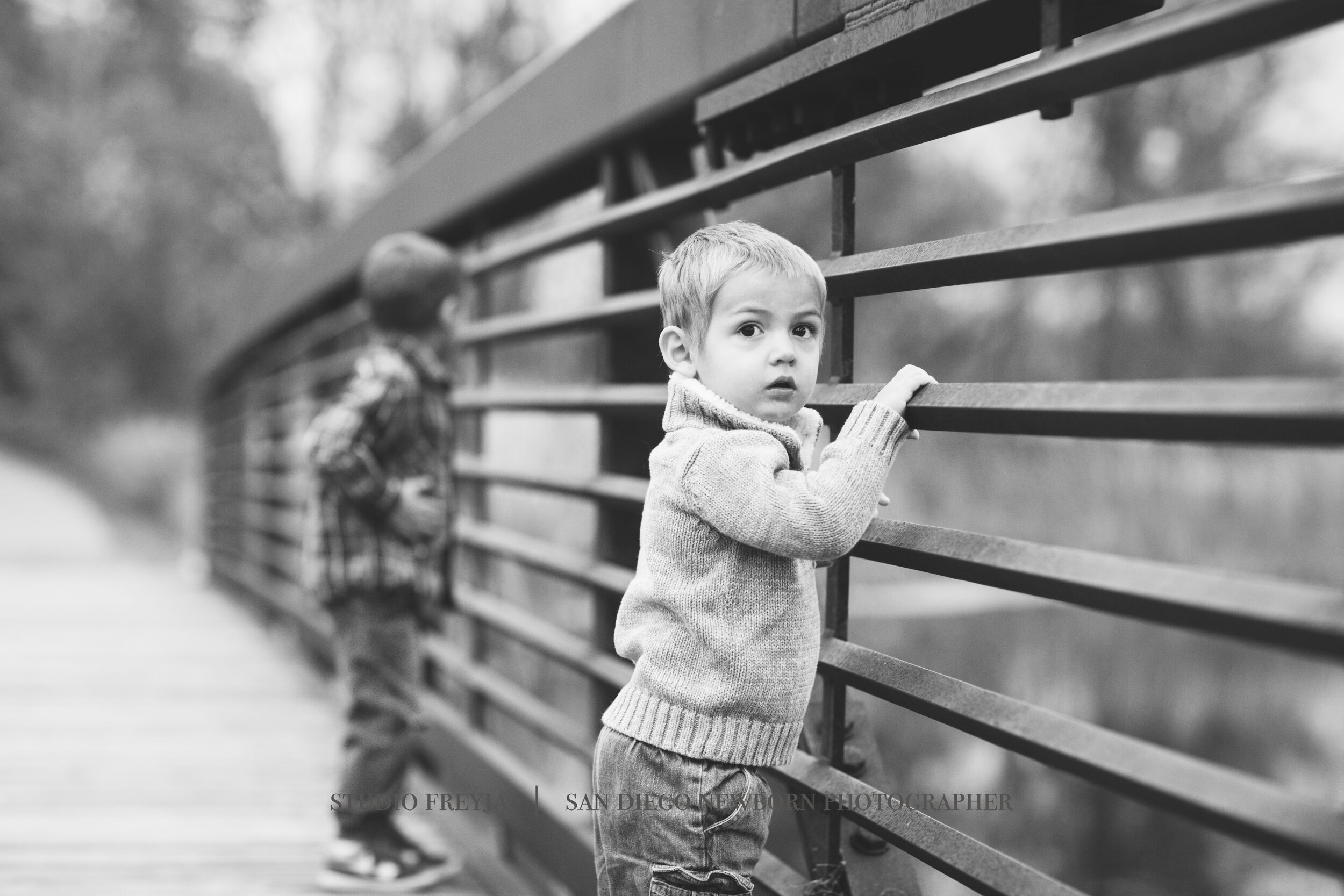  Family Portrait Photographer in San Diego 