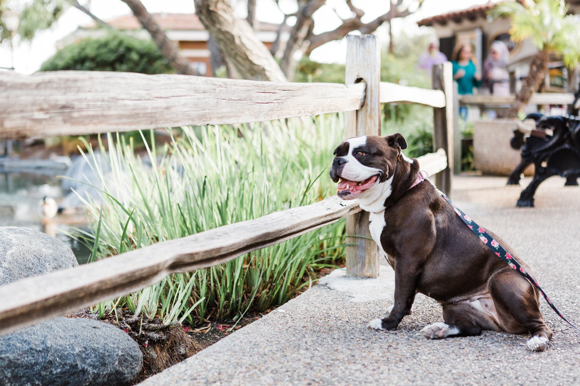 San Diego Portrait Session