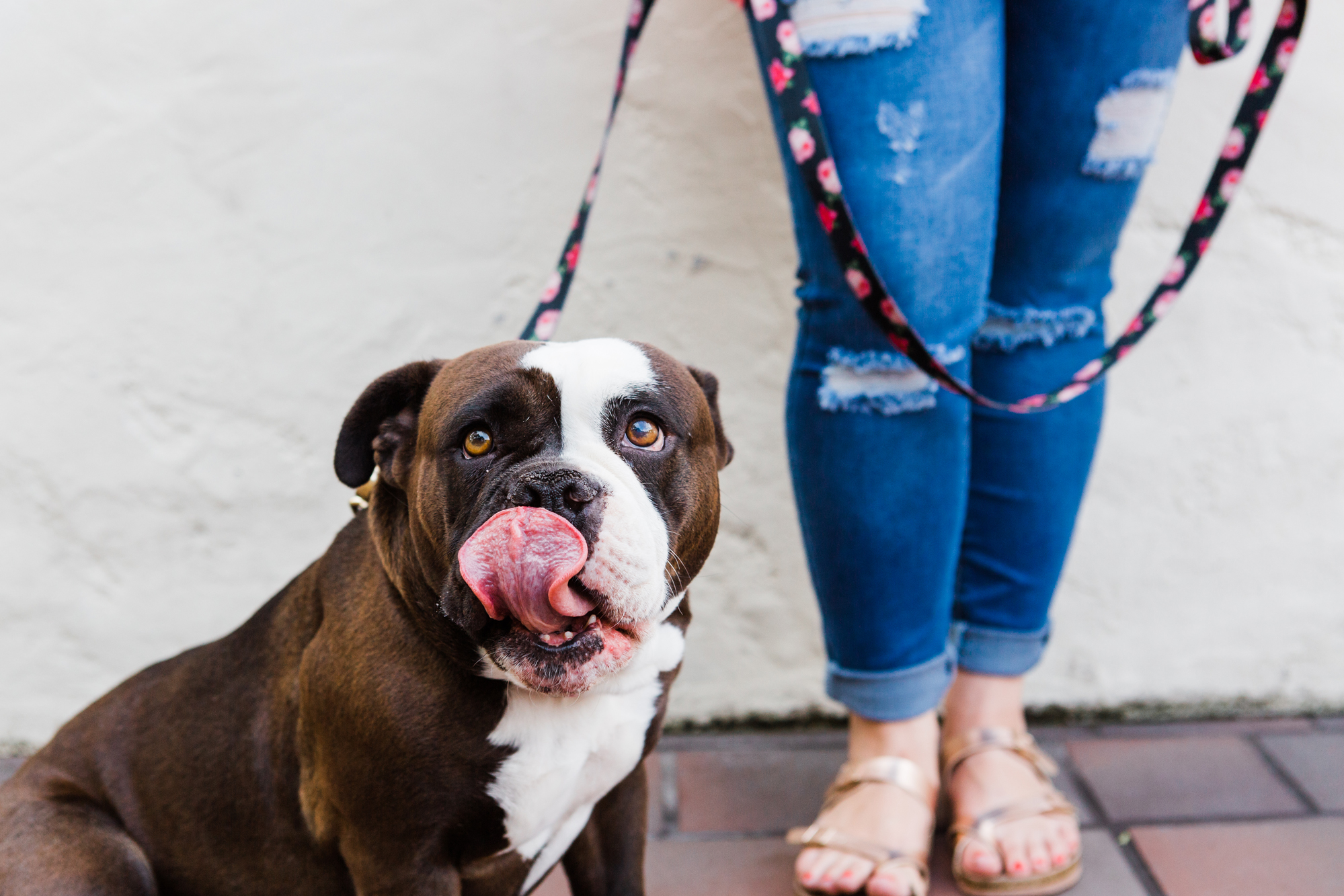 San Diego Family Photographer