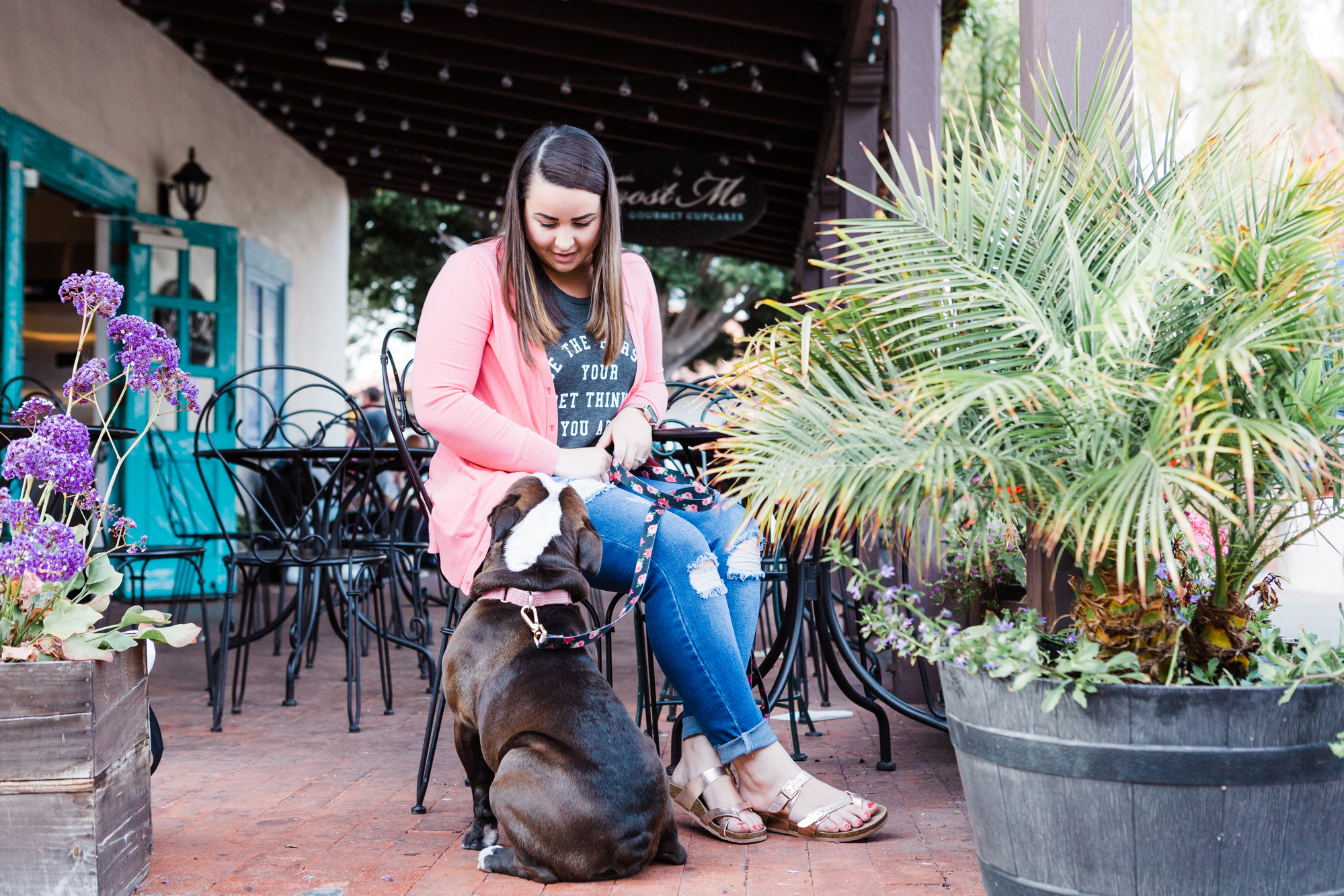 Family Session San Diego with English Bulldog