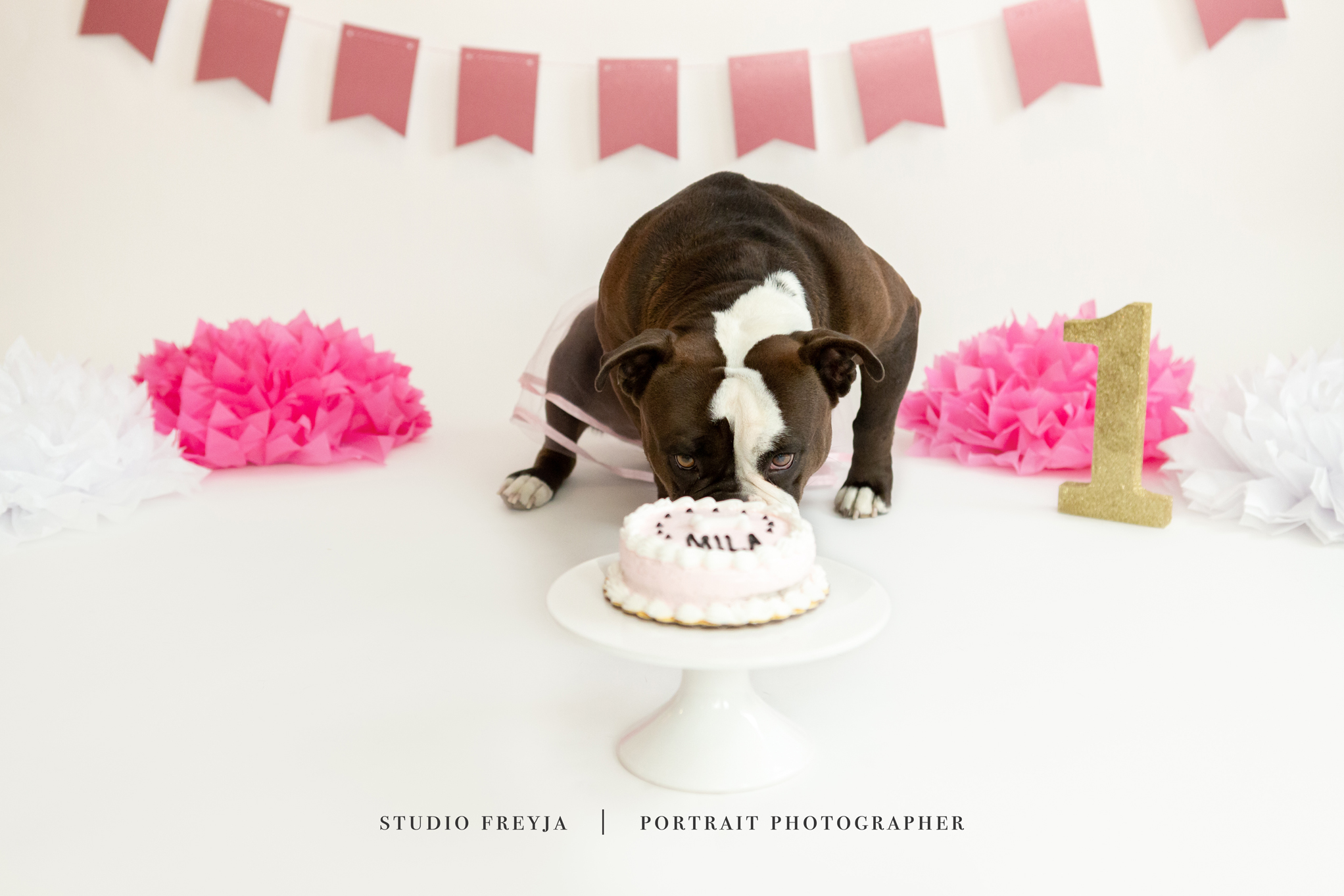 Mila One Year Cake Smash Copyright Studio Freyja (49 of 72).jpg