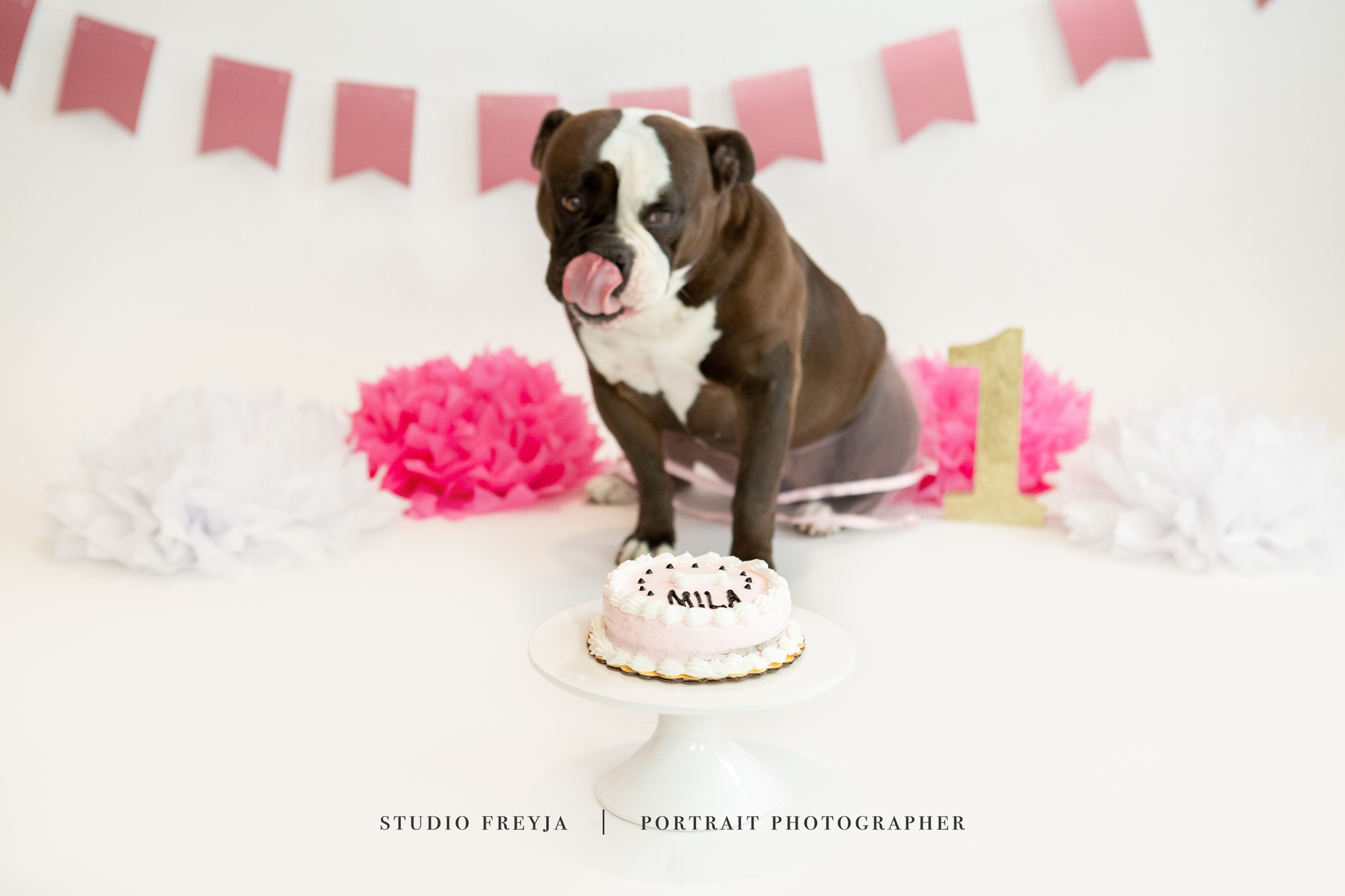 Mila One Year Cake Smash Copyright Studio Freyja (51 of 72).jpg