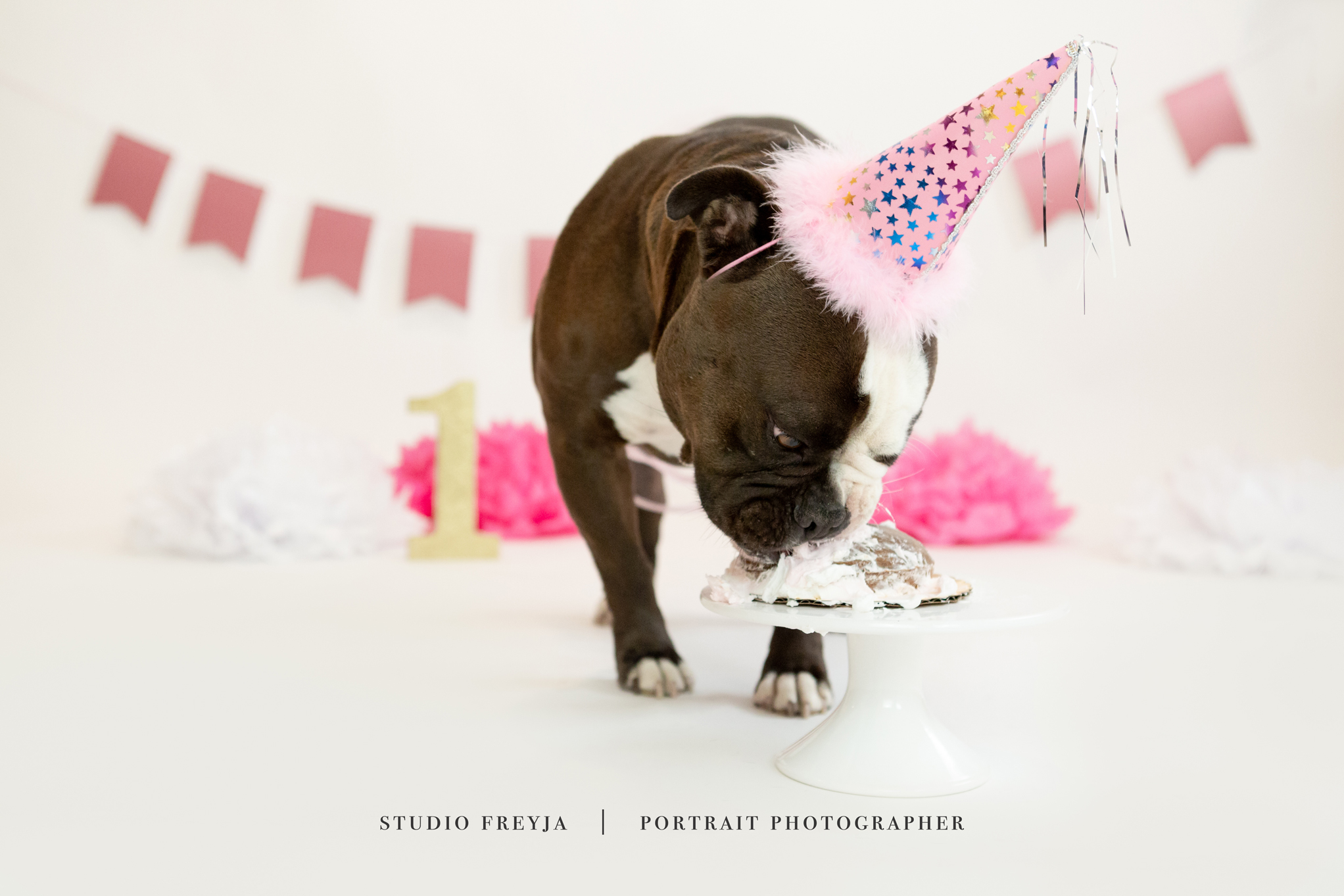 Mila One Year Cake Smash Copyright Studio Freyja (71 of 72).jpg