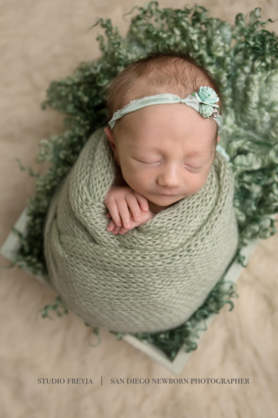 San Diego Newborn Portrait Studio