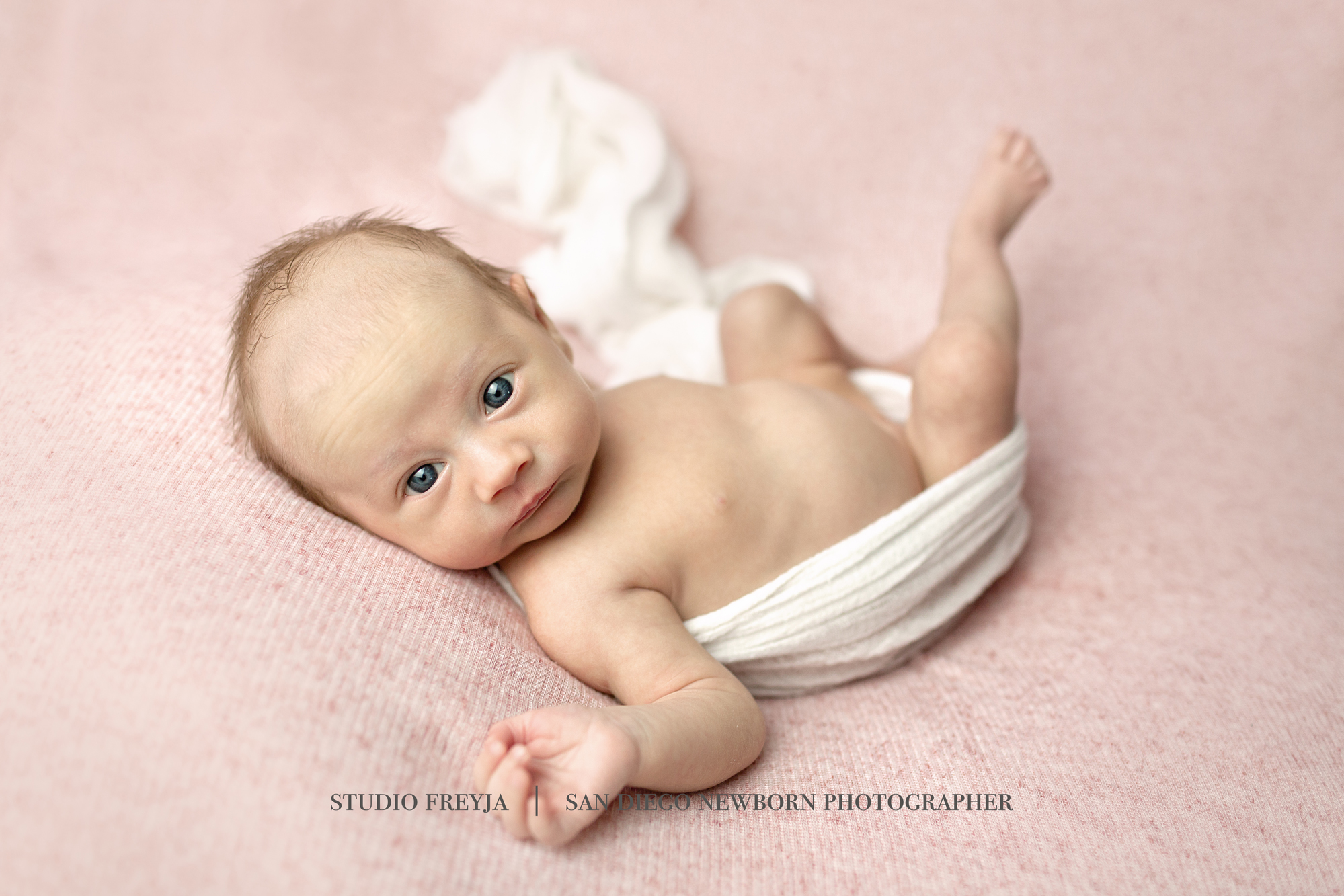 Newborn Baby Girl Newborn Photographer San Diego