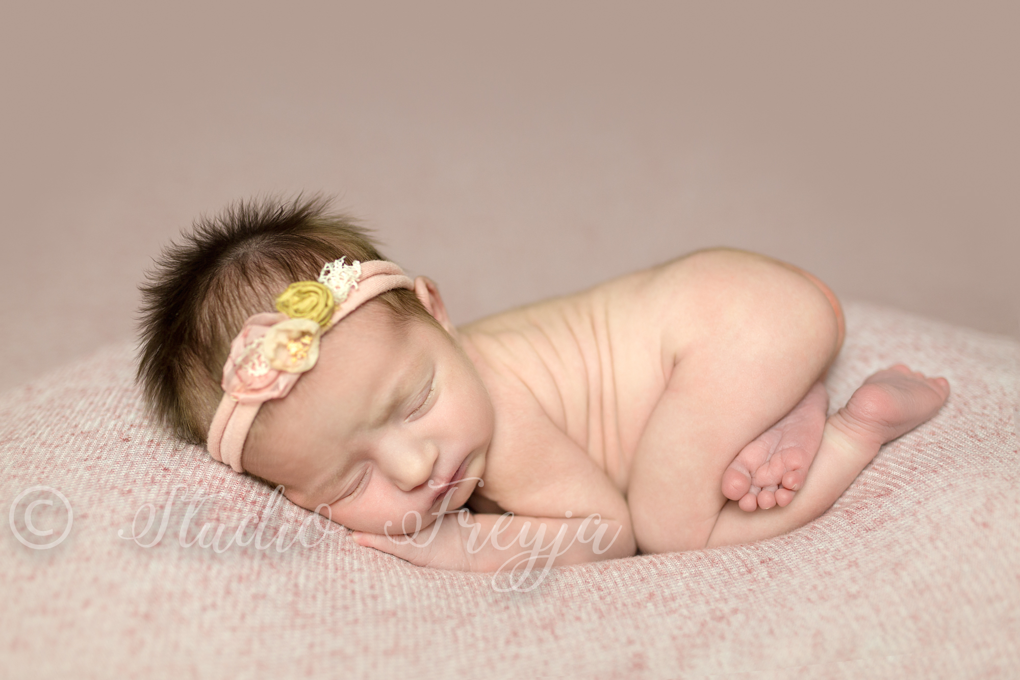 Pink backdrop for baby girl newborn pictures in San Diego by Studio Freyja