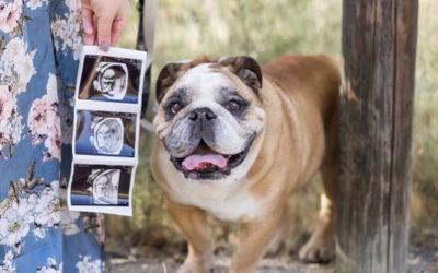 My Favorite Pregnancy Story so far – San Diego Maternity Photographer