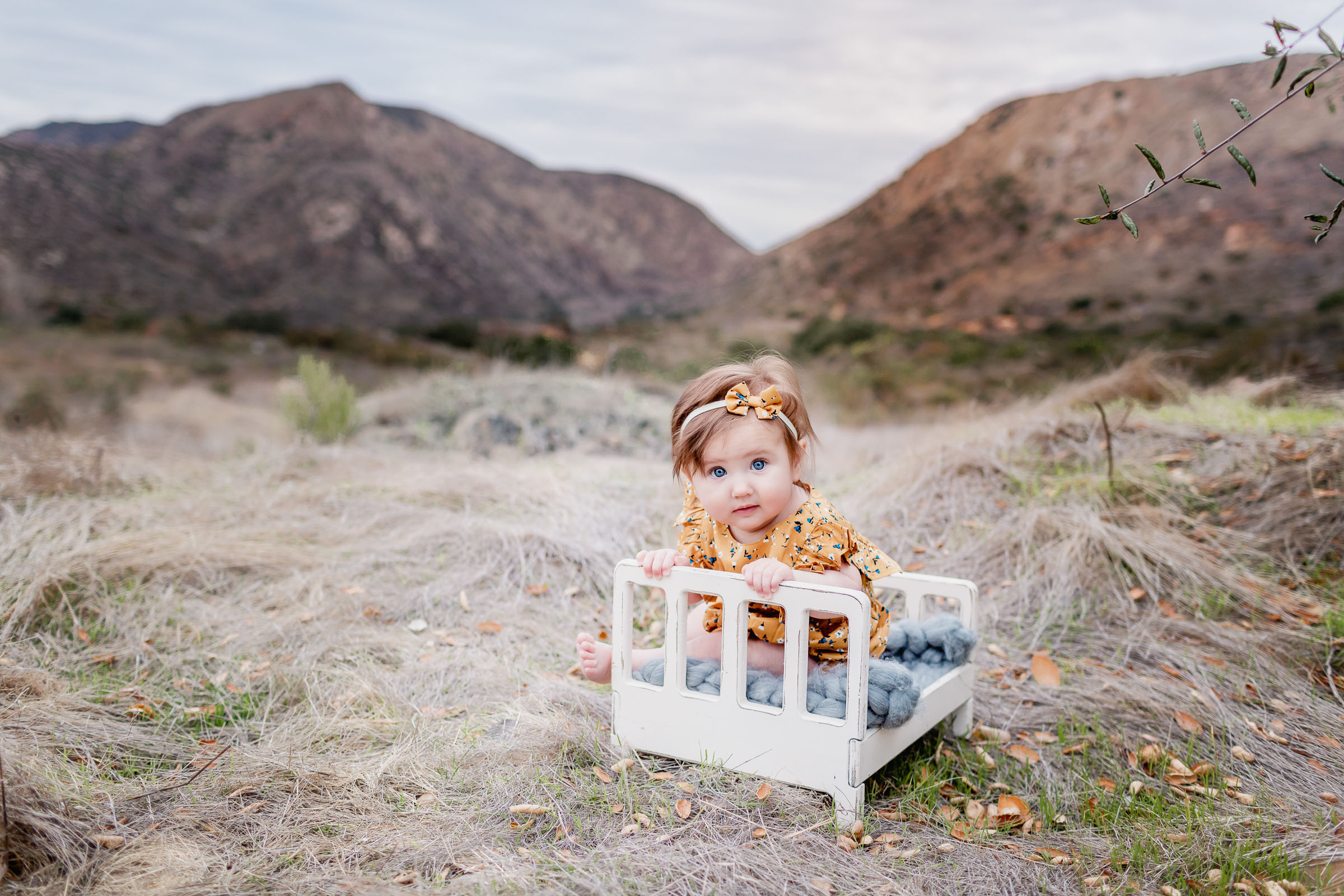 Newborn Bed used outdoors for a milestone session