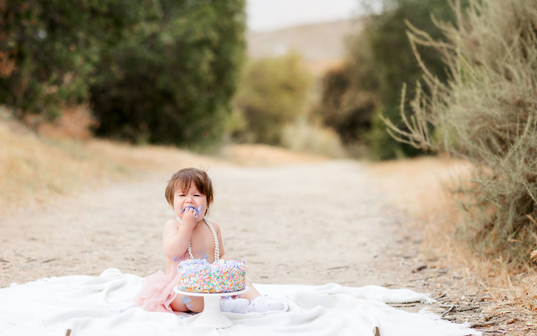 Mission Trails Outdoor Cake Smash Pictures by San Diego Baby Photographer Blog Banner