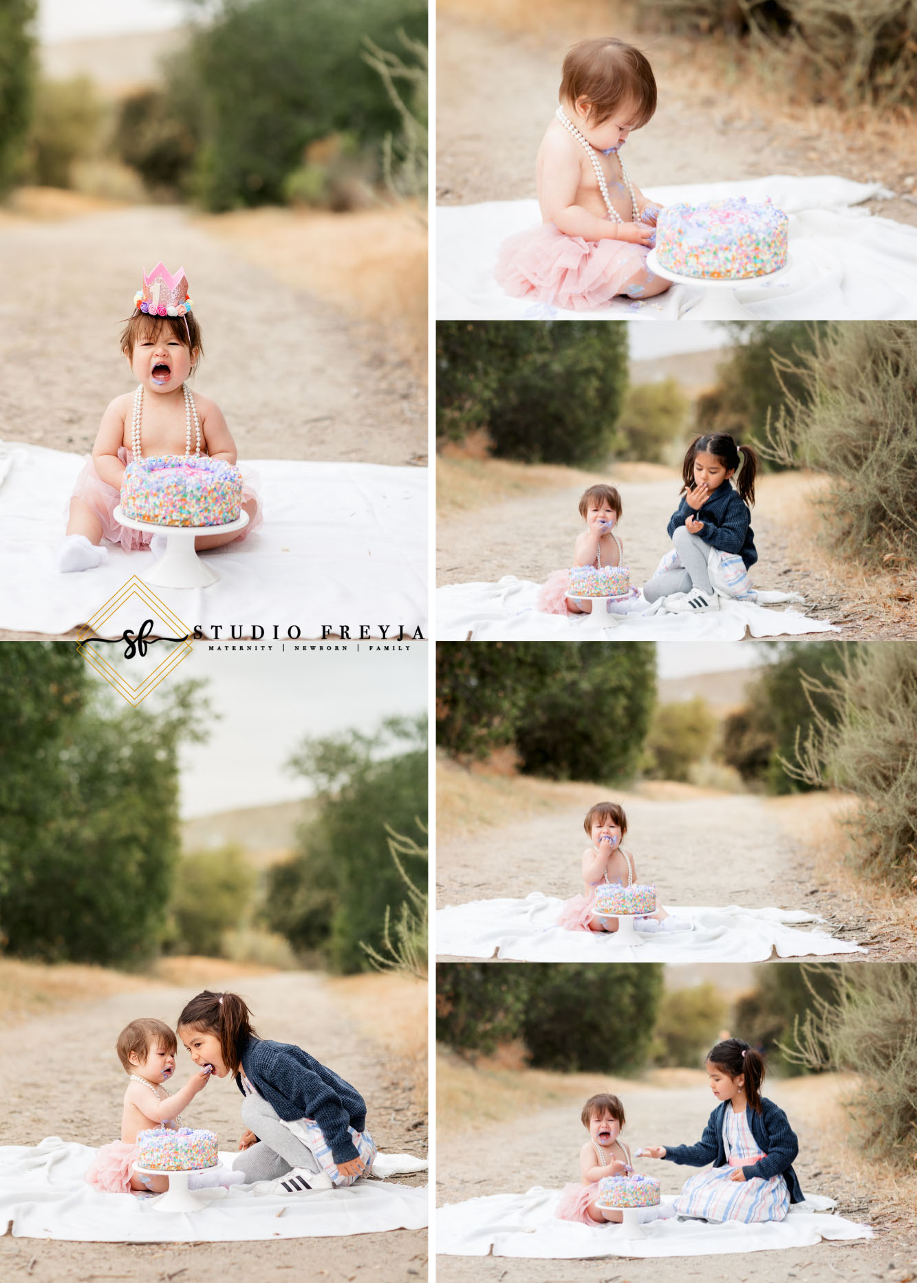Photo Collage of Mission Trails Outdoor Cake Smash Pictures with baby and big sister