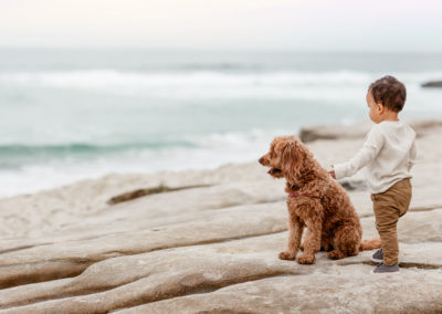 A boy and his dog looking out over the ocean at Windansea La Jolla during family pictures