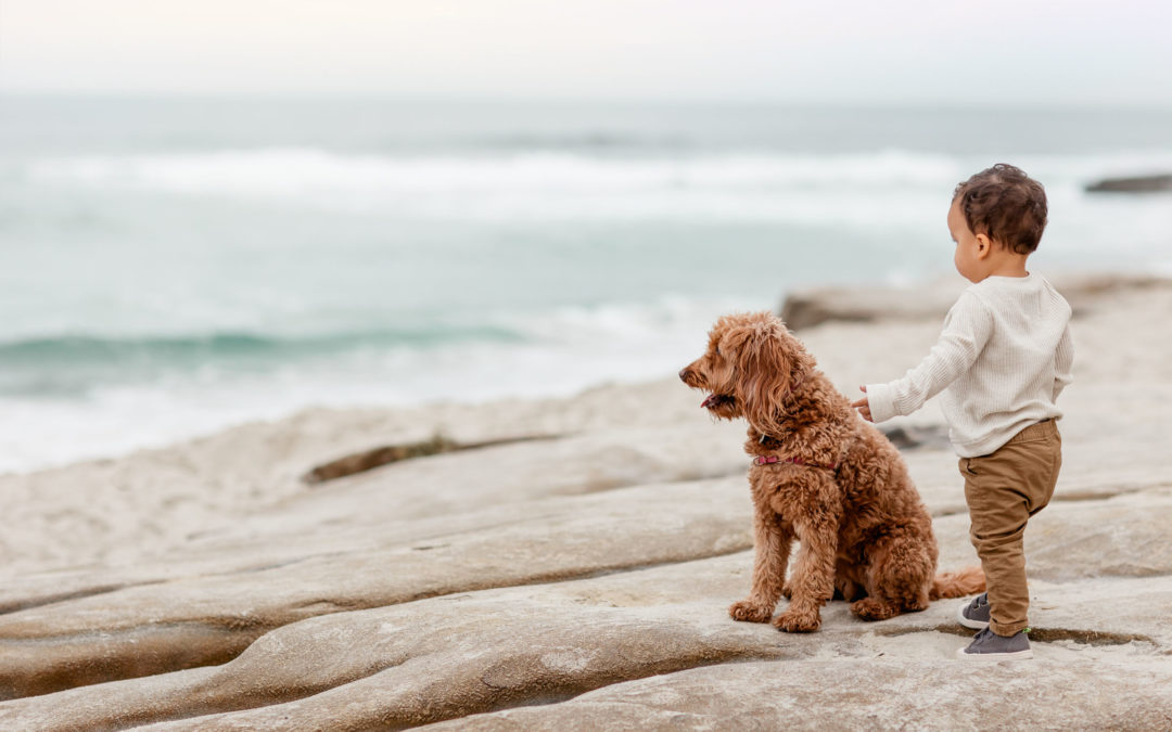 Boy standing with dog overlooking the ocean during Whispering Sands Sunset Family Pictures by San Diego Family Photographer
