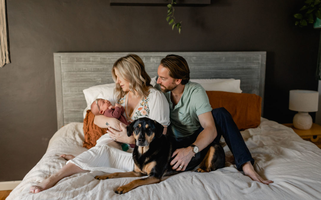 San Diego Lifestyle Newborn Pictures with family on bed and dog snuggling up together