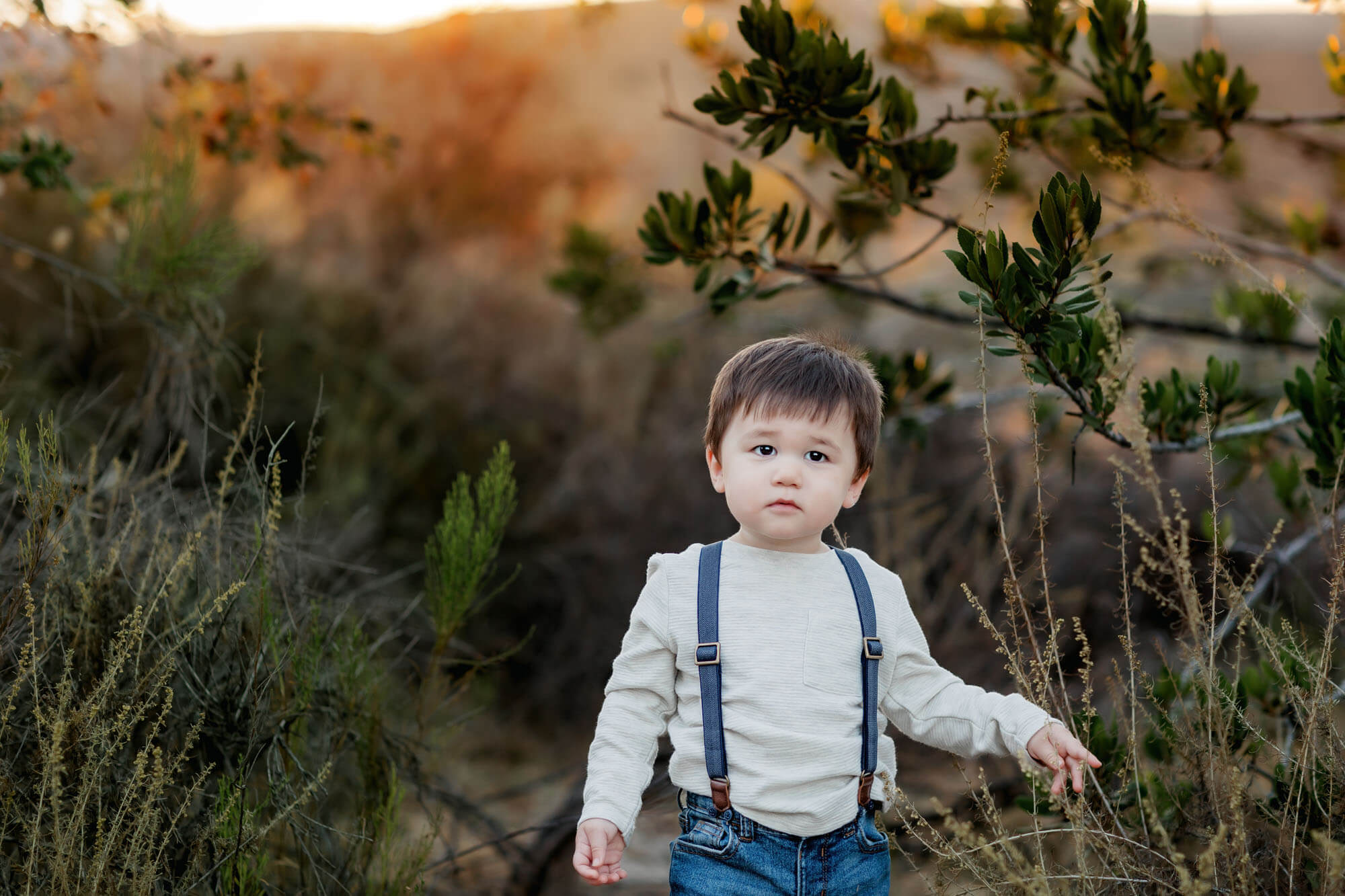 5 Best Locations for San Diego Family Photos with Mission Trails REgional park being one of them for toddler pictures