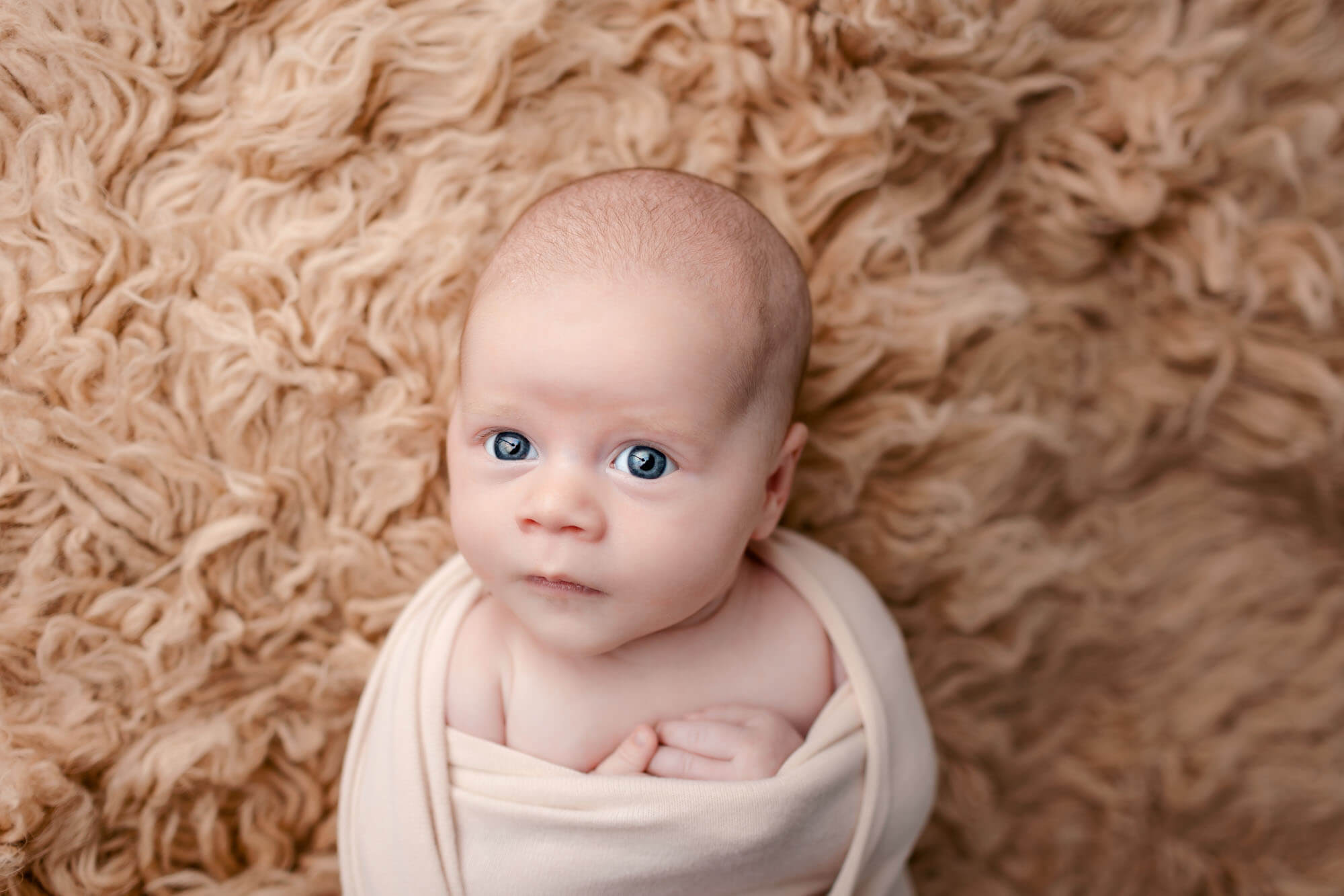 Wrapped Newborn Baby Boy laying on a brown fur rug looking at the camera with big blue eyes. Half Body shot captured by San Diego Newborn Photographers