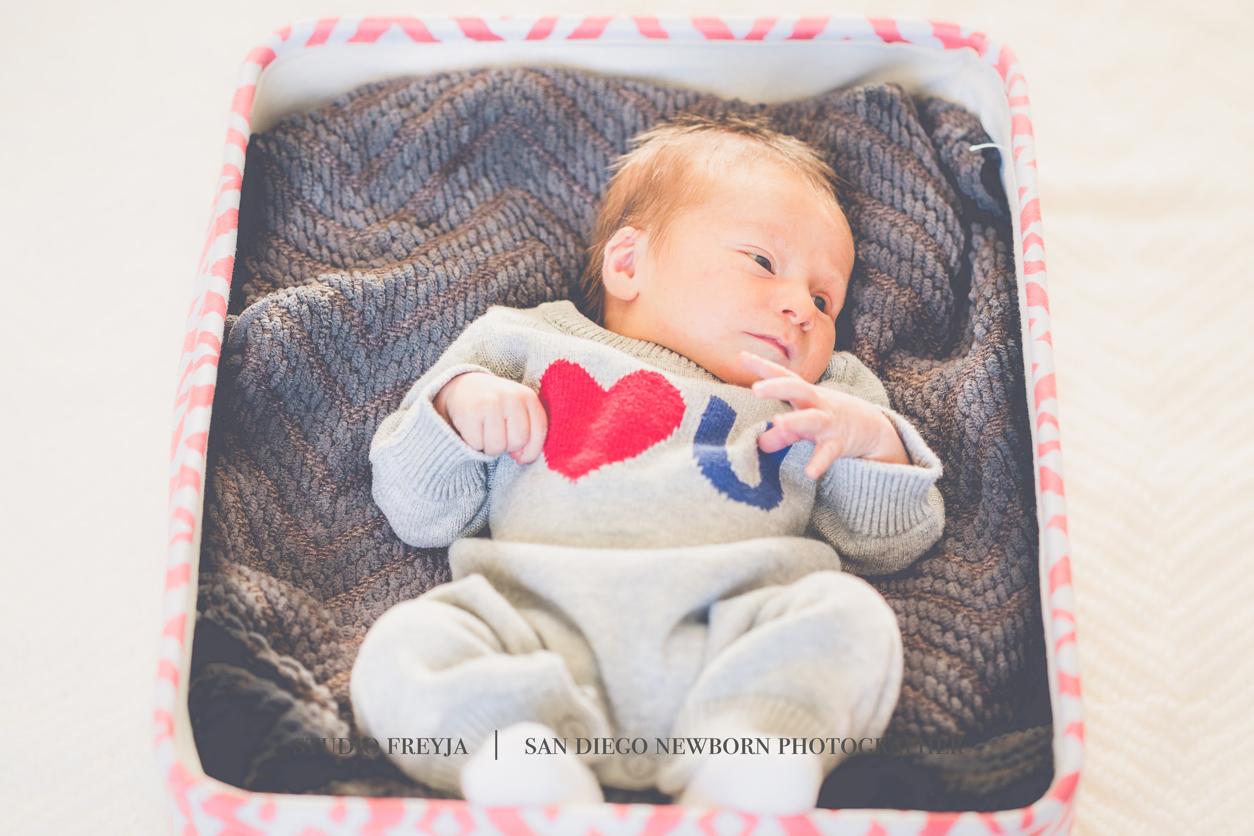 My very first newborn session before I really knew what newborn photography really was or entailed.