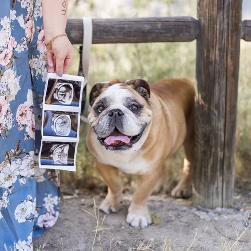 My Favorite Pregnancy Story so far – San Diego Maternity Photographer