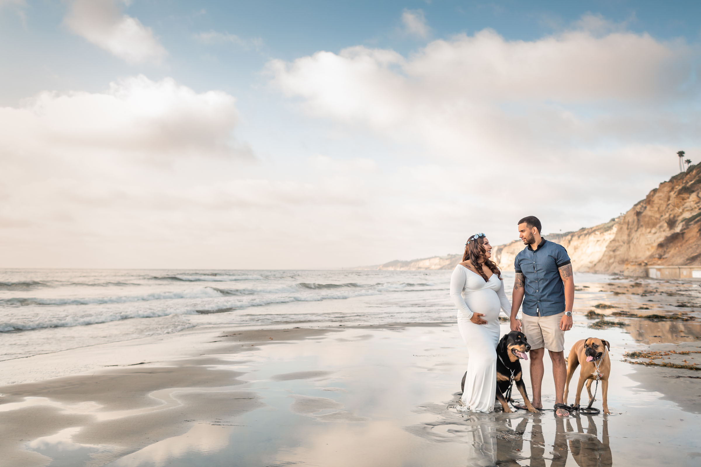 Expectant couple with their two dogs on the wet sand below the cliffs at sunset